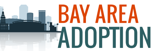 Tampa Bay Area Adoption